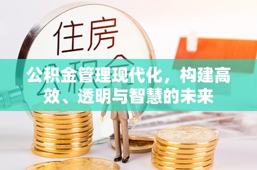 湟中公积金管理现代化，构建高效、透明与智慧的未来