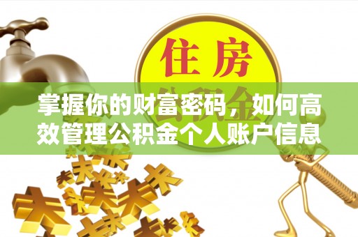 湟中掌握你的财富密码，如何高效管理公积金个人账户信息