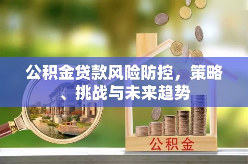 湟中公积金贷款风险防控，策略、挑战与未来趋势