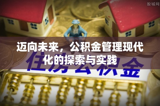 湟中迈向未来，公积金管理现代化的探索与实践