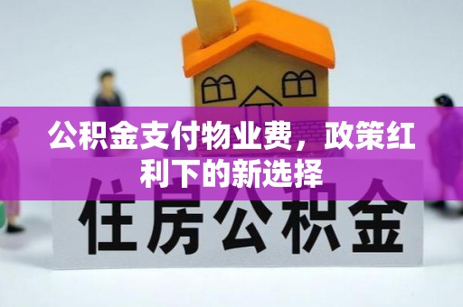 湟中公积金支付物业费，政策红利下的新选择