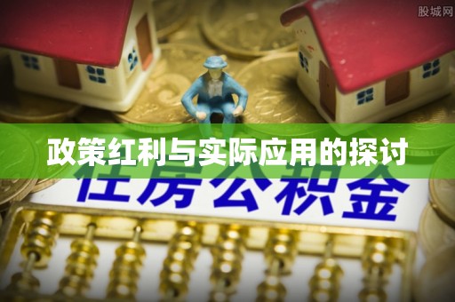 湟中政策红利与实际应用的探讨