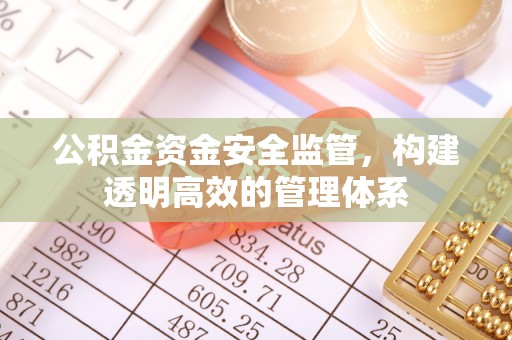 湟中公积金资金安全监管，构建透明高效的管理体系