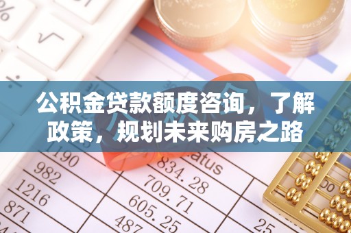 湟中公积金贷款额度咨询，了解政策，规划未来购房之路