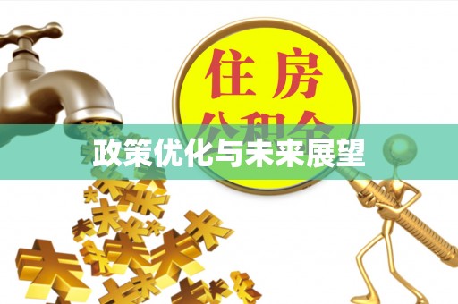 湟中政策优化与未来展望