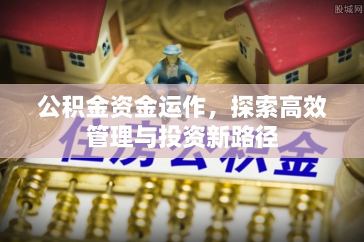 湟中公积金资金运作，探索高效管理与投资新路径