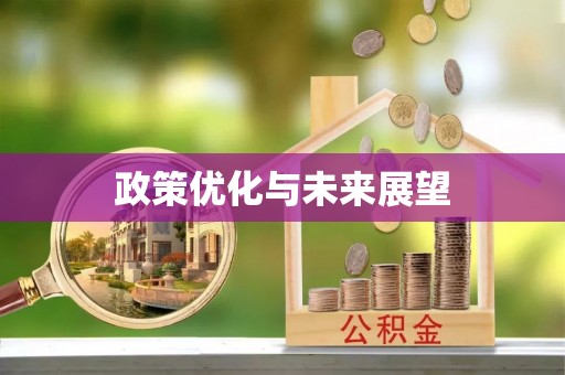 湟中政策优化与未来展望