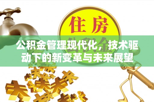 湟中公积金管理现代化，技术驱动下的新变革与未来展望