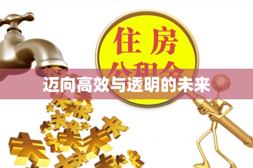湟中迈向高效与透明的未来