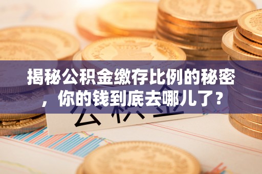 湟中揭秘公积金缴存比例的秘密，你的钱到底去哪儿了？