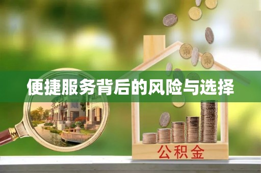 湟中便捷服务背后的风险与选择