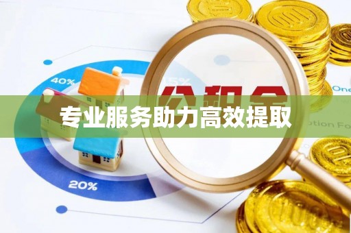 湟中专业服务助力高效提取