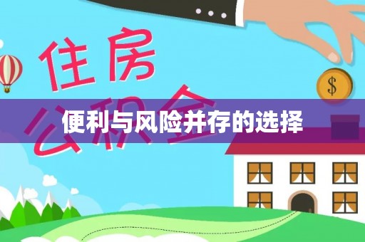 湟中便利与风险并存的选择